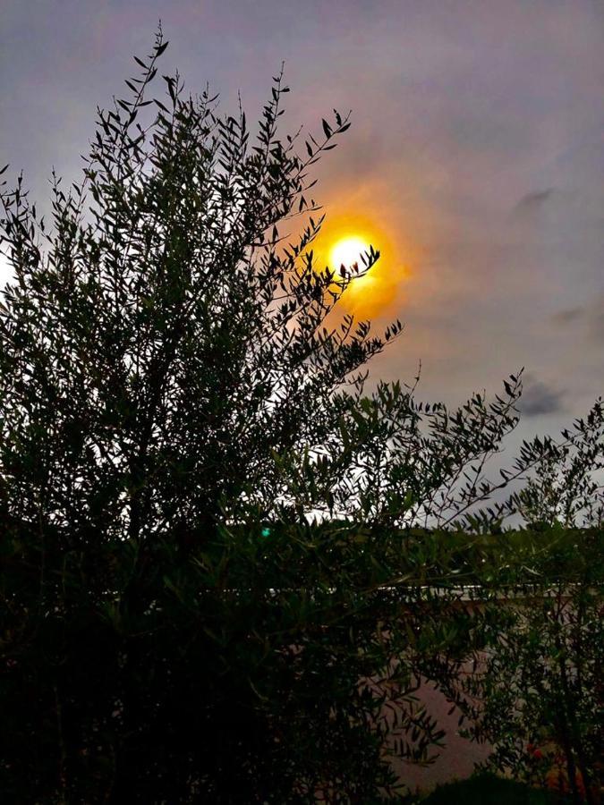 Casa Raio De Sol Em Conservatória Eksteriør billede